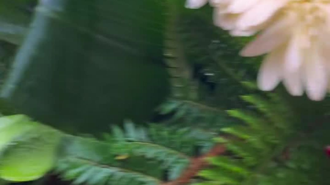 ⁣Har_har_Mahadev_❤️💫__#Mahadev__#Kedarnath__#temple__#travel__#instagram__#Faesbook