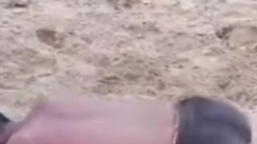 ⁣Dhakad chori ki kusti