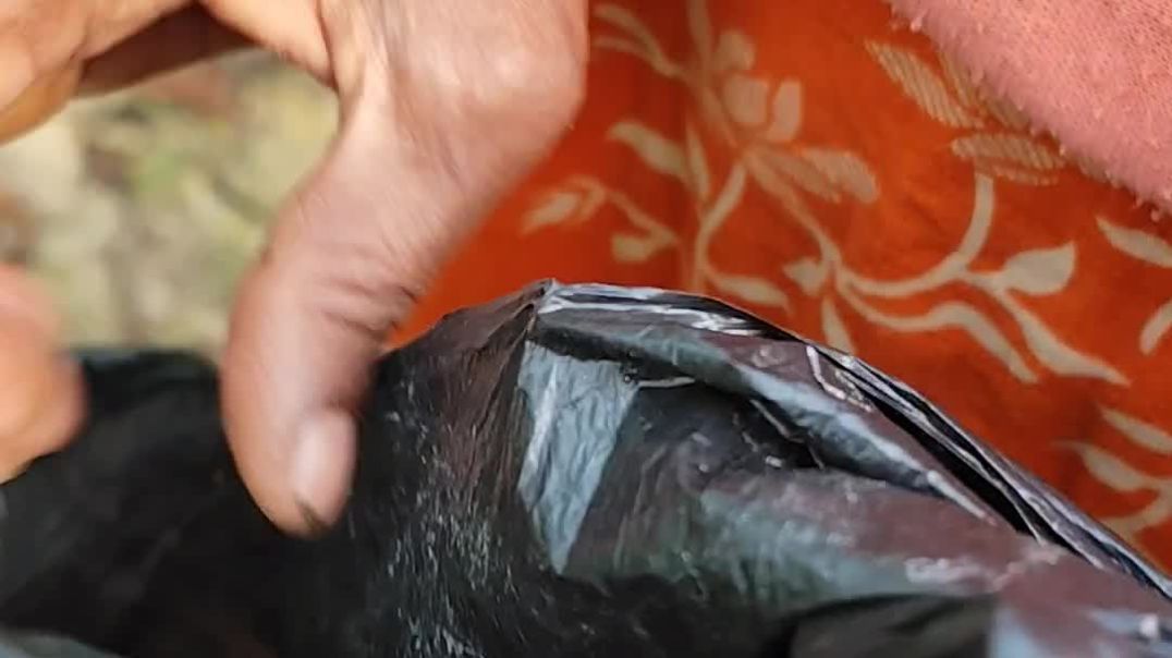 ⁣মা ফুল তুলছে।ma ful tulcha.