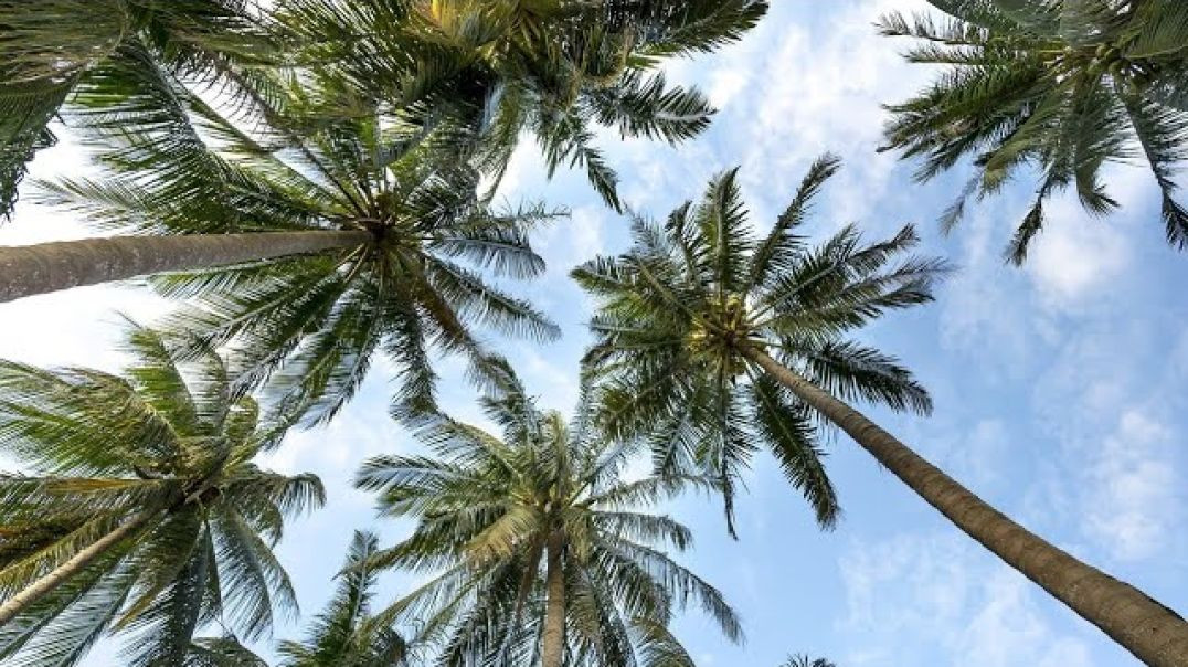 ⁣Relaxing Piano Music_ Romantic Music, Beautiful Relaxing Music, Sleep Music, Stress Relief