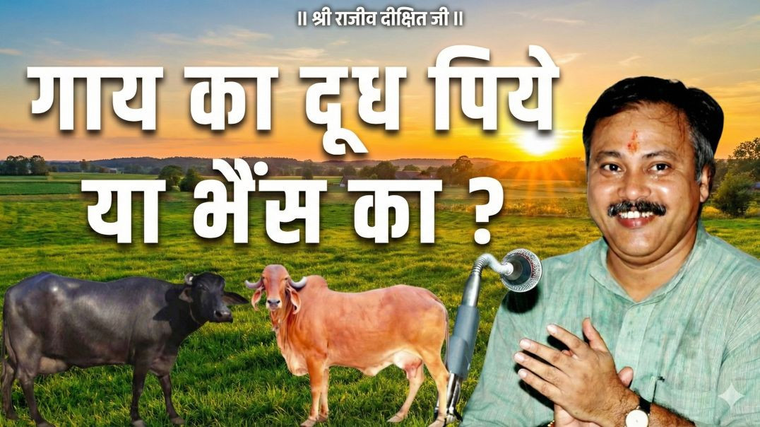 ⁣गाय का दूध या भैंस का दूध ? कौन है सबसे उत्तम ?