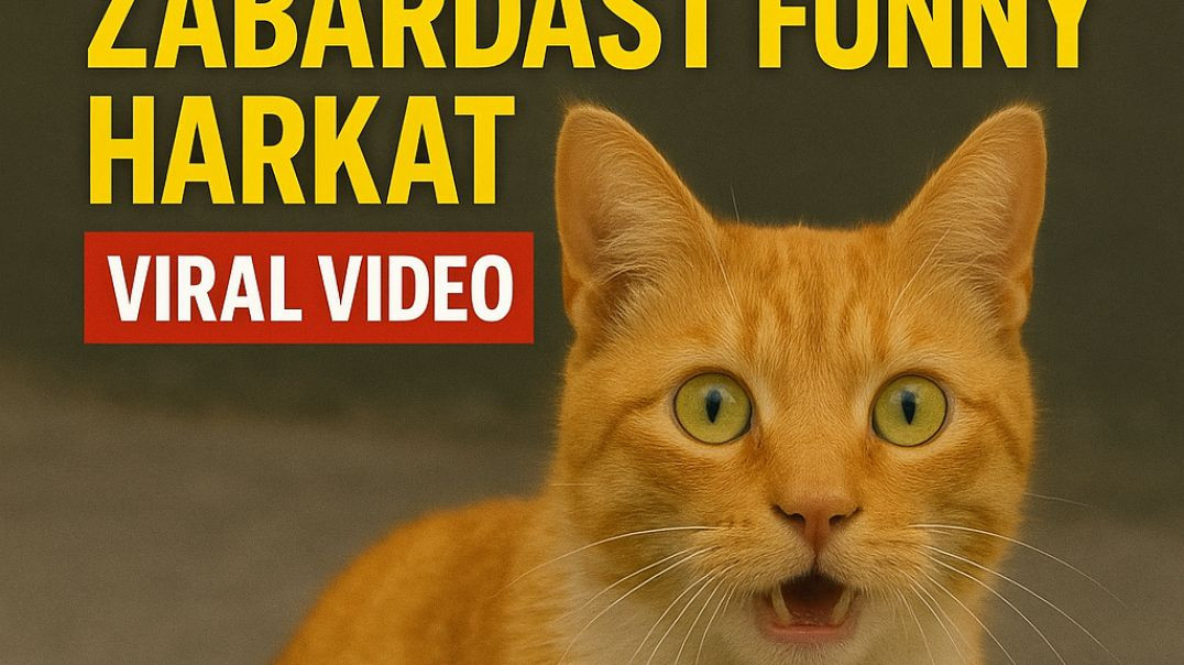 ⁣Breaking News: Camera Mein Qaid Hui Billi Ki Funny Harkat | Viral Cat Video 😺📺