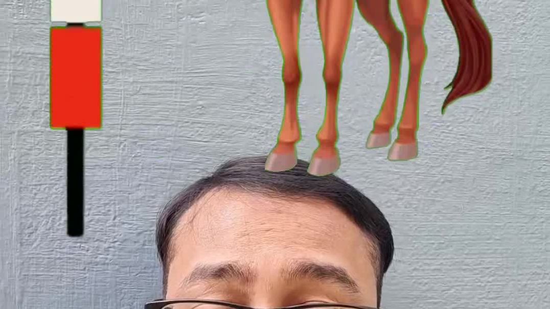 ⁣घोड़े को घास खिलाएं #horse #feed #reelsfypシ #viral #reelsfacebook #puzzle #sandeepbarouli #foryouシ #s