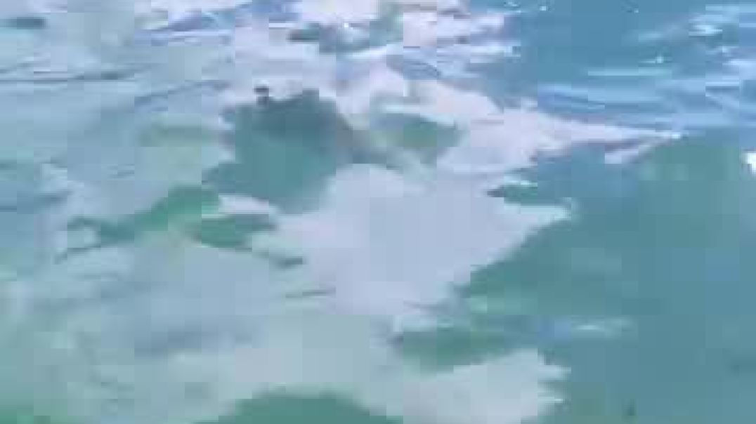 A_girl_got_trapped_with_a_monster_on_a_deserted_island😯