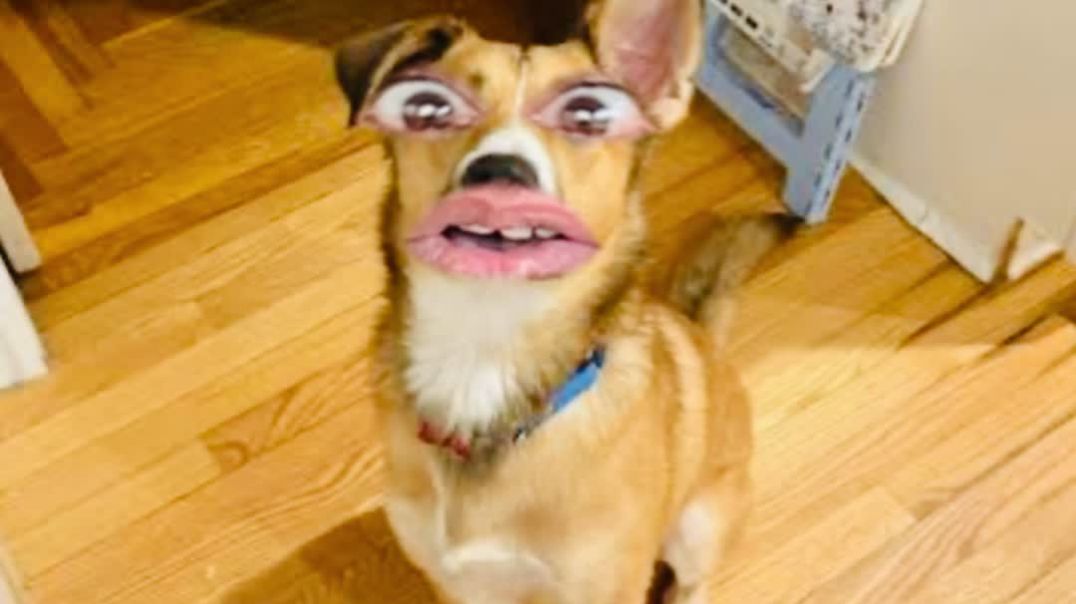 ⁣Subscribe me to subscribe Immediately