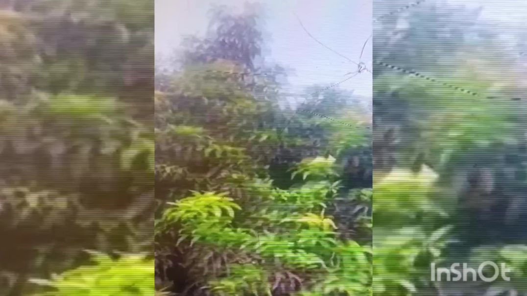 ⁣natural vlog village videos  !! viral videos