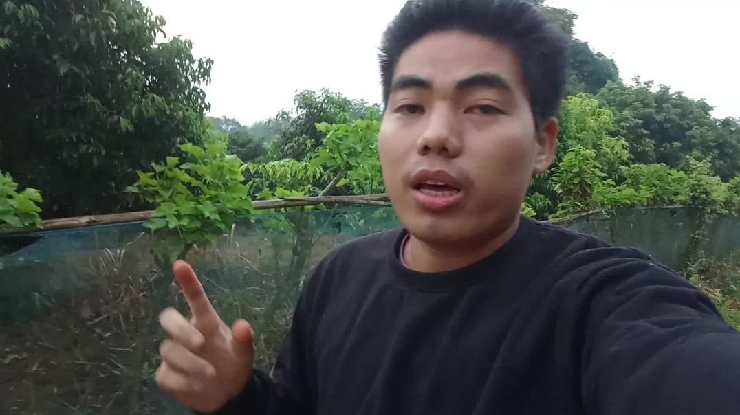 Triveliling Narikelkunja ❤️❤️