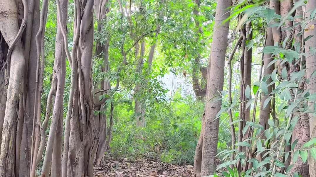 ⁣Tag your friends 😁