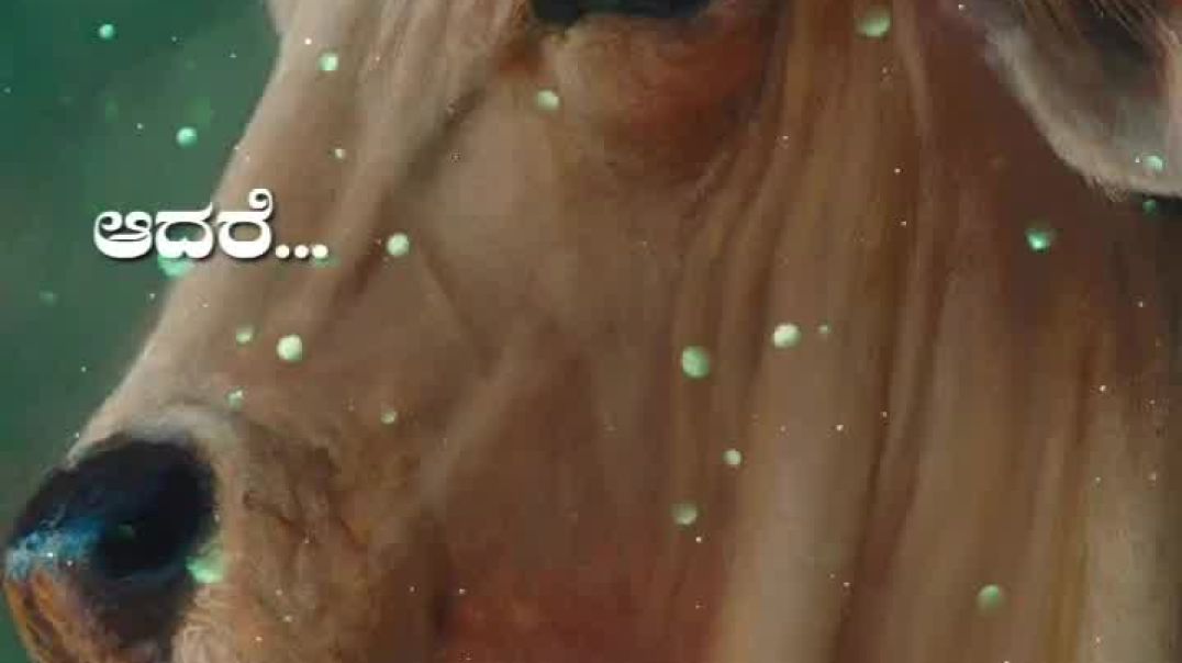 ⁣as_beats1637-20251207-0001