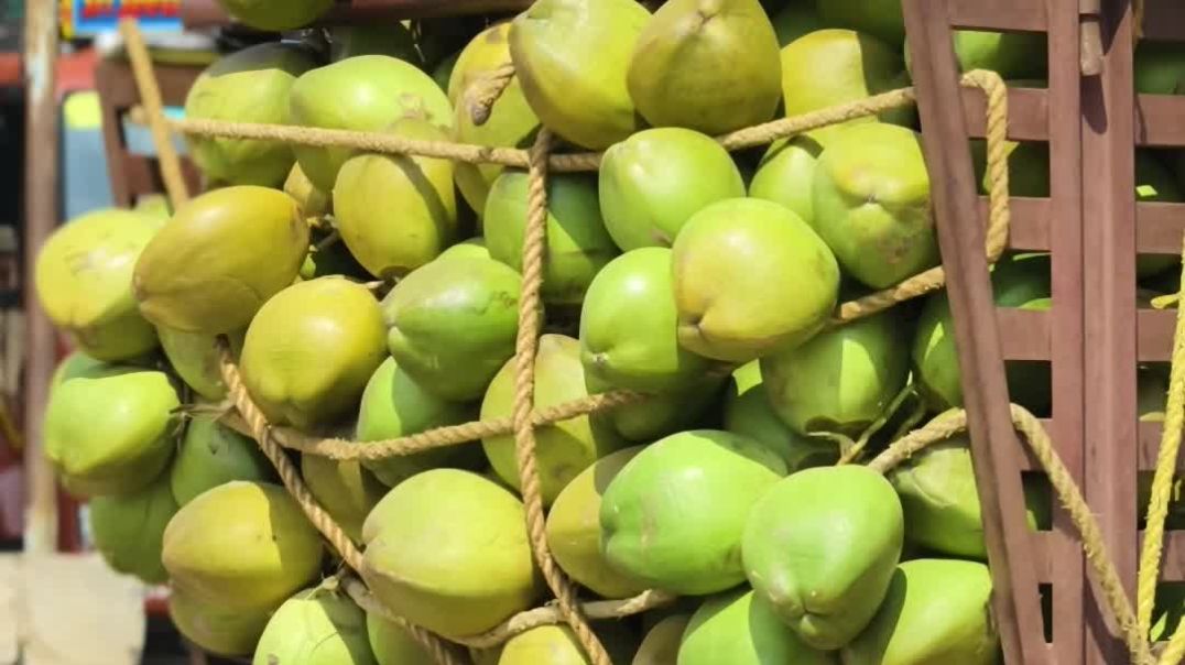 video_20251211_104943