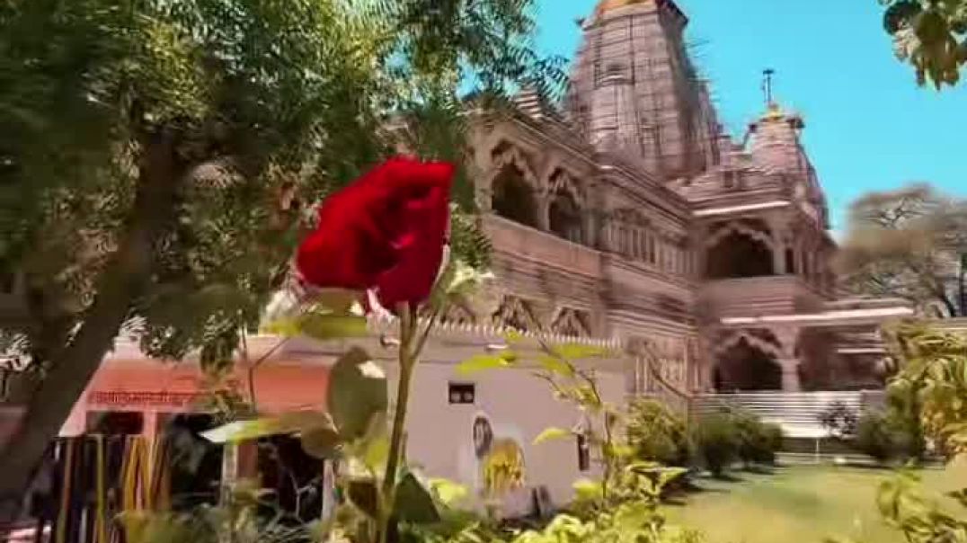 ⁣VIP Jay savriya seth ji #Song