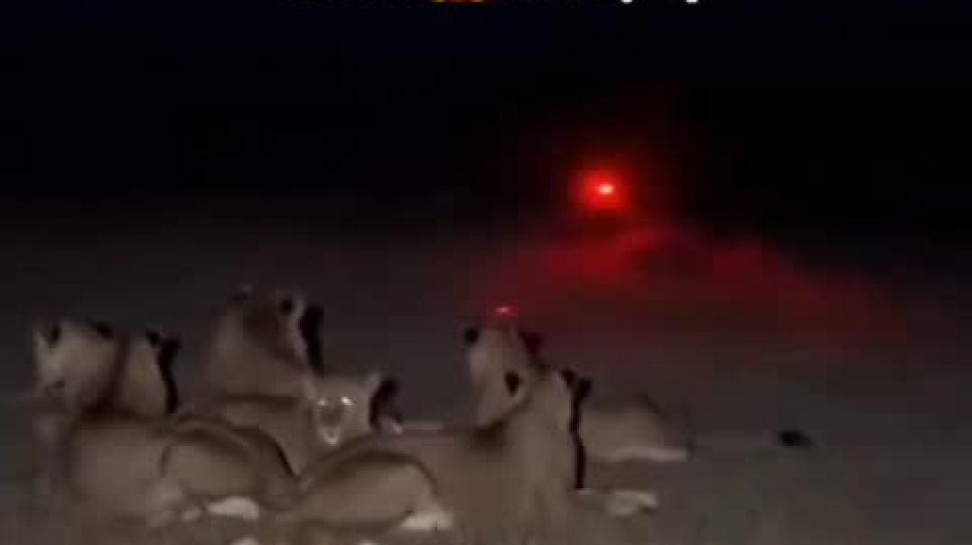 YouCut_20251208_010611254