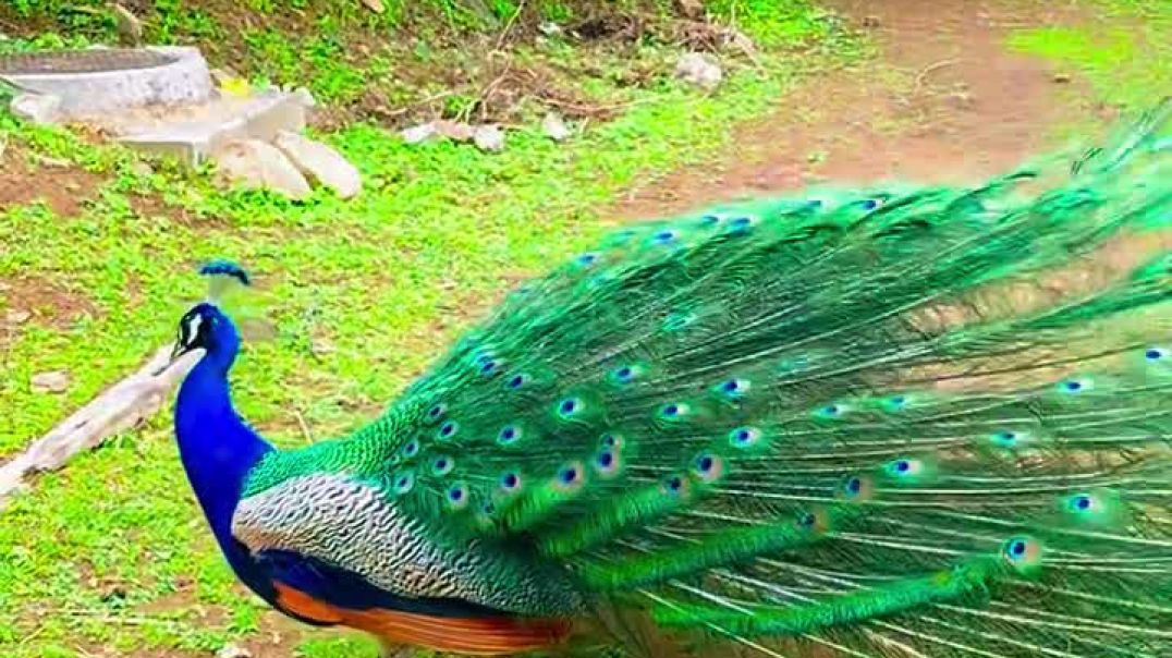 ⁣Follow up with the chennal