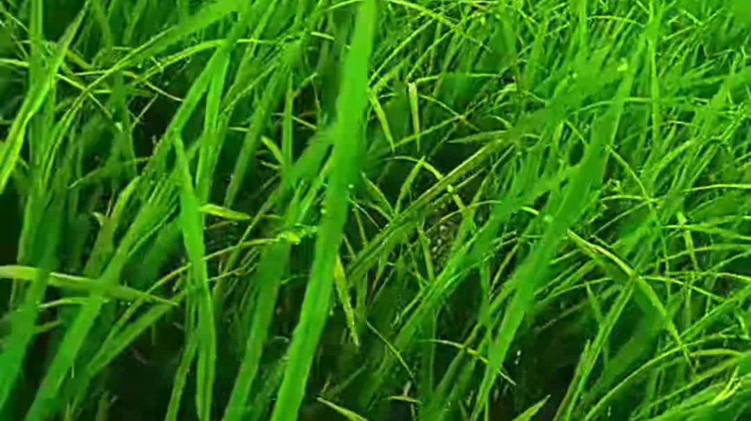 ⁣Kisan 🌾🌾🌾