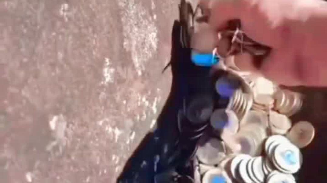 ⁣VID-20251210-WA0000