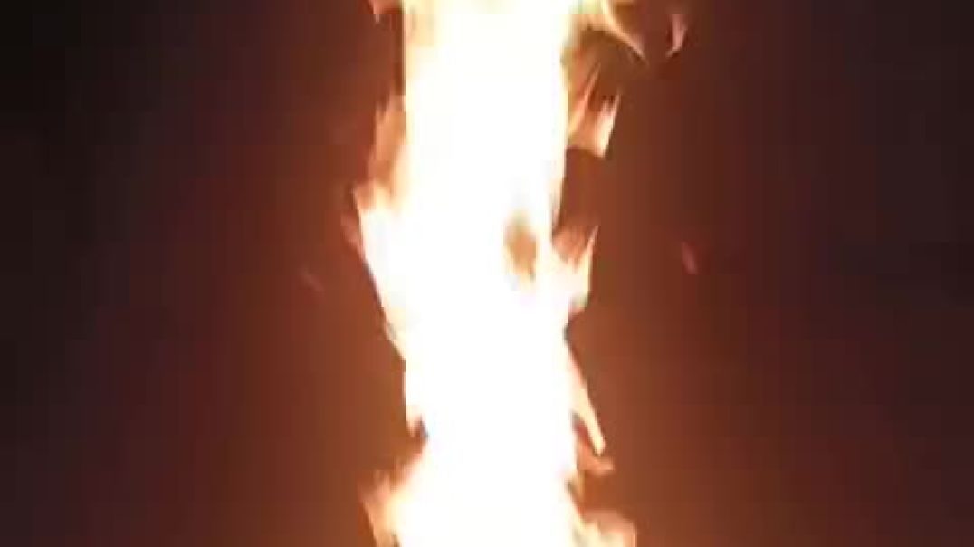 ⁣VID-20251123-WA0002