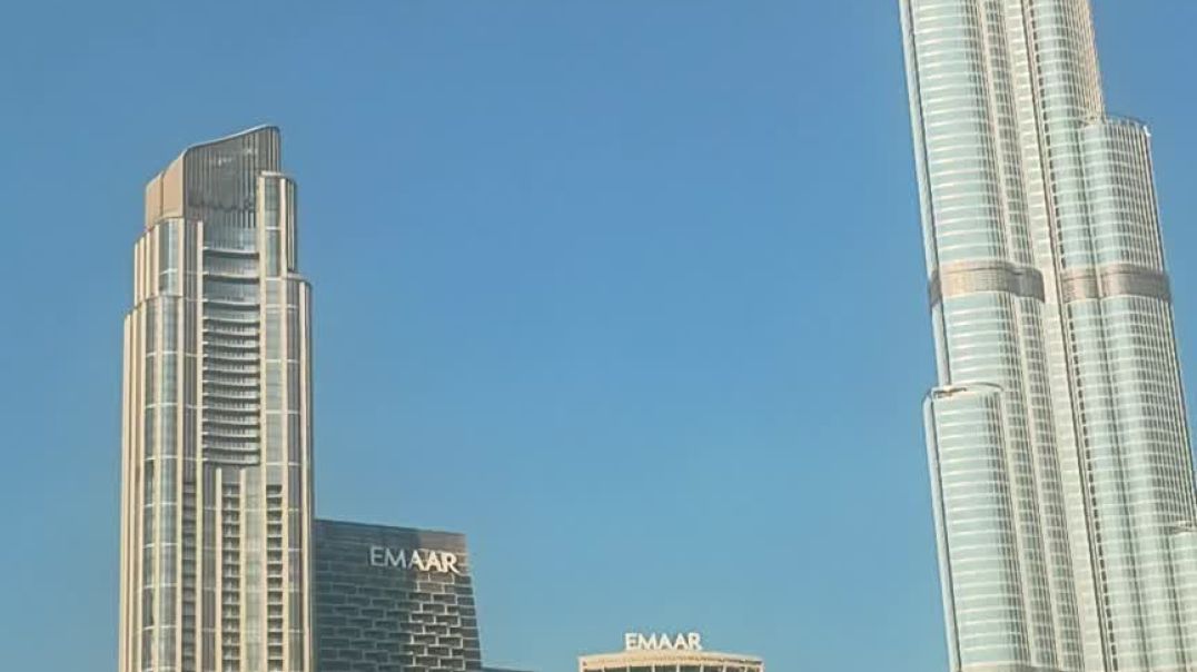 VID_20251129_110402462