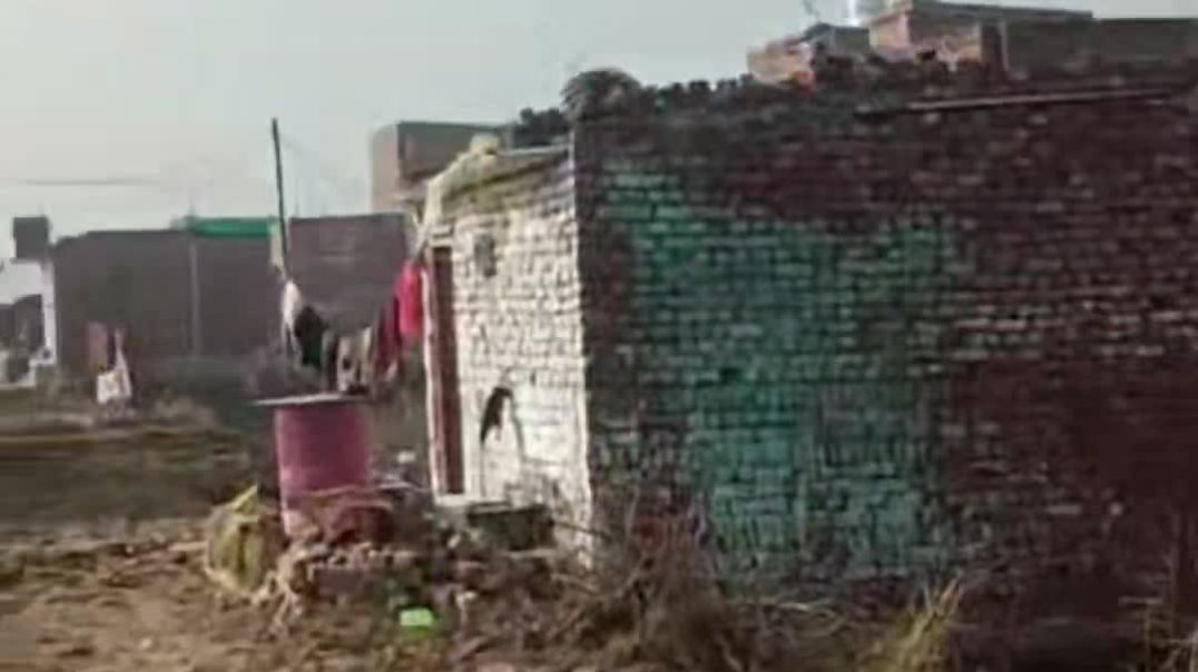 VID_20251128_045740_202