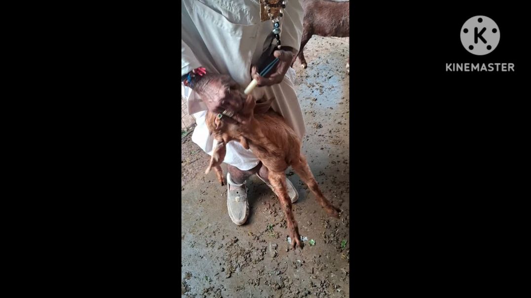 km_20251205_1080p_60f_20251206_130558