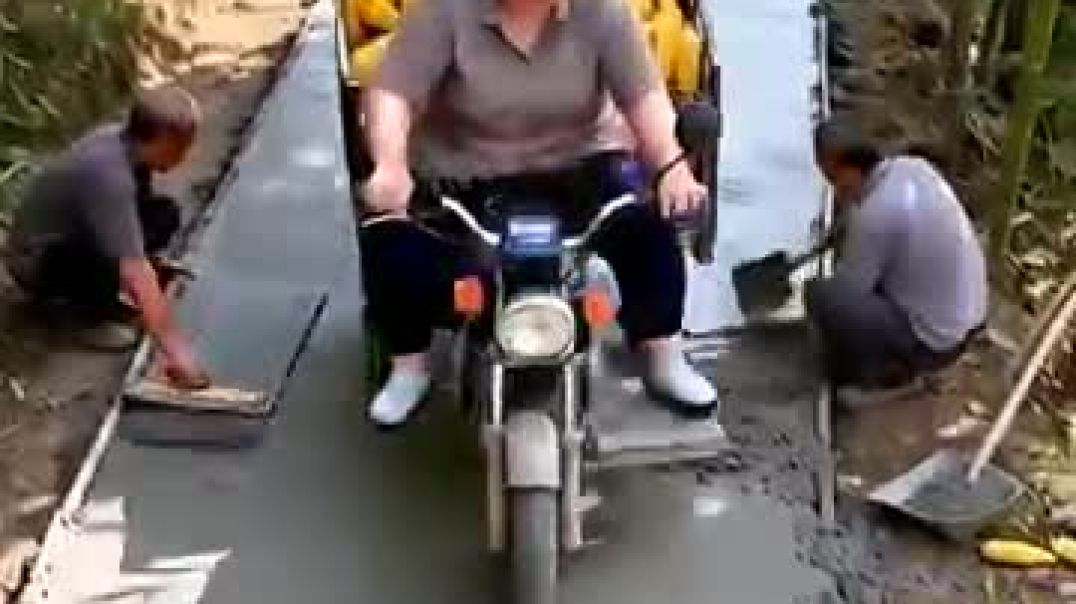 ⁣Champa_is_bringing_watermelon_🍉😂#Catsoftiktok#CatLovers_#cat_#cute_#FunnyCats#catcartoon#fyp#shorts(