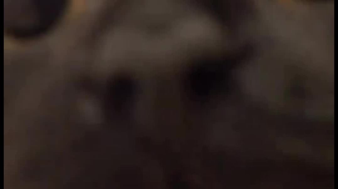 km_20251124_1080p_60f_20251124_135131