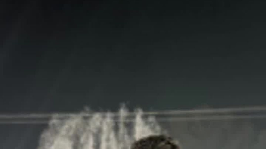 VID_20251205_202452_185