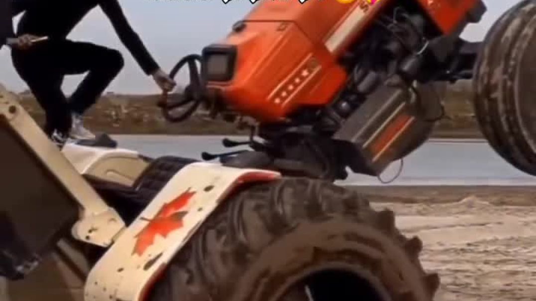 ⁣Chouhan king viral video shorts Chouhan king 🤴 ♥️ 🙌