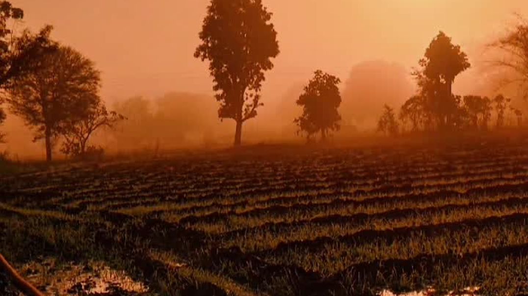 VID_20251117_034714_004