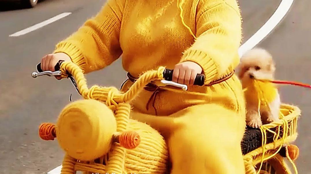 ⁣🤮चाची की स्वेटर🤯🤮#Catsoftiktok #CatLovers #cat #cute #FunnyCats#catcartoon #fyp