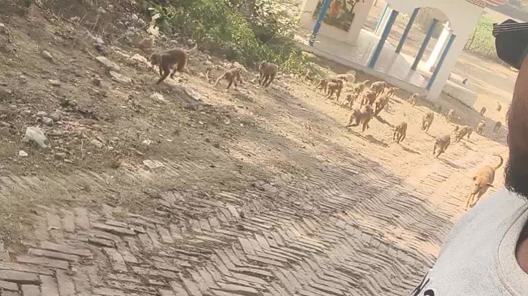 ⁣Mandir bhuyankoti