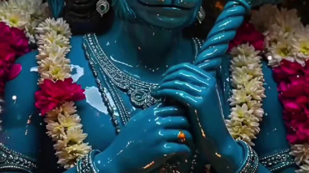 VID_20251215_175344_113