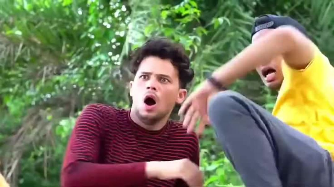 533b1d845e9ade52b21533161e8f33d1