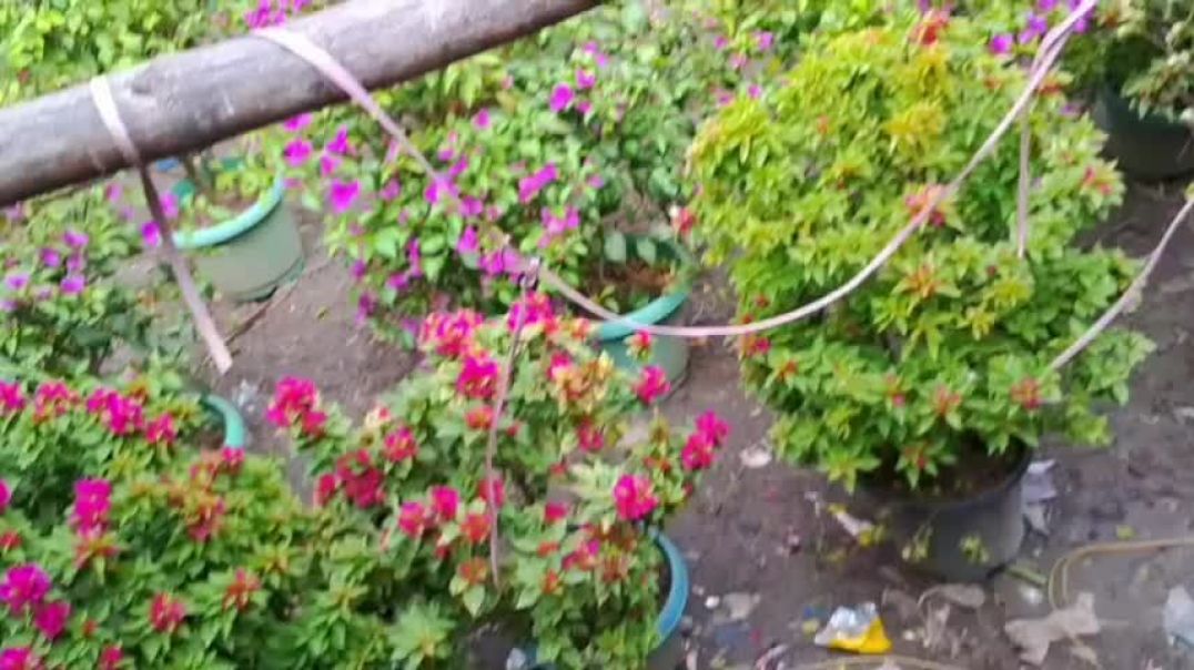 saianjcbfnxjfjfjxjbfjfhfdidhdnje