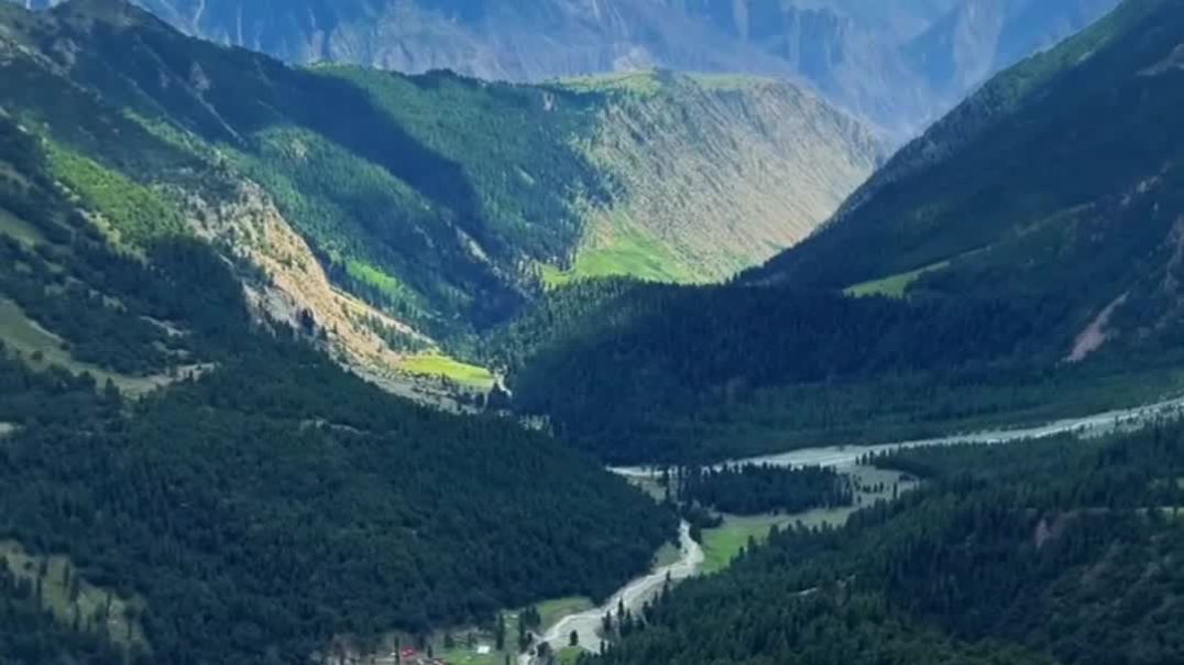 VID_20251220_032434_421