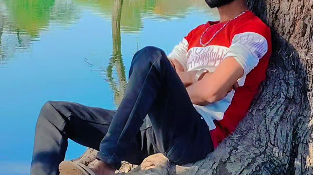 VID_20251211_011948_454