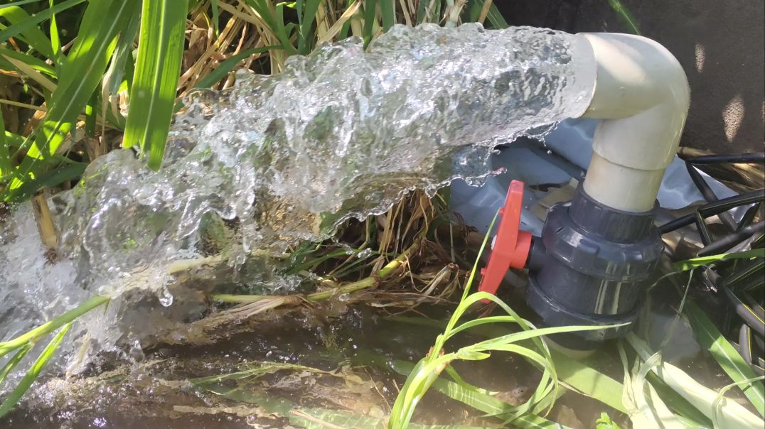 video_20251209_110803