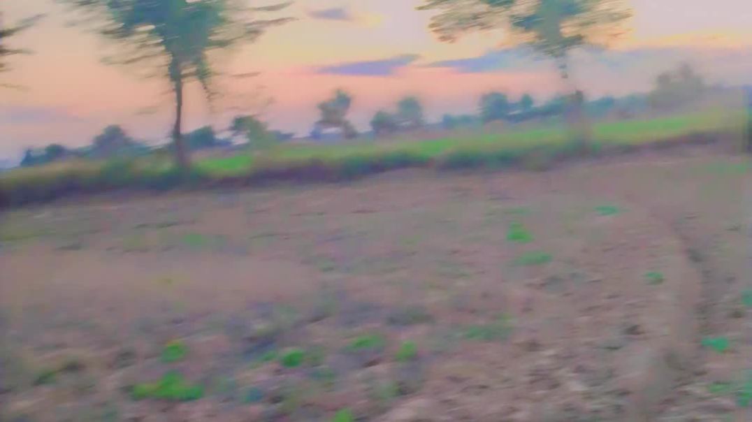 ⁣Snapchat-53963386