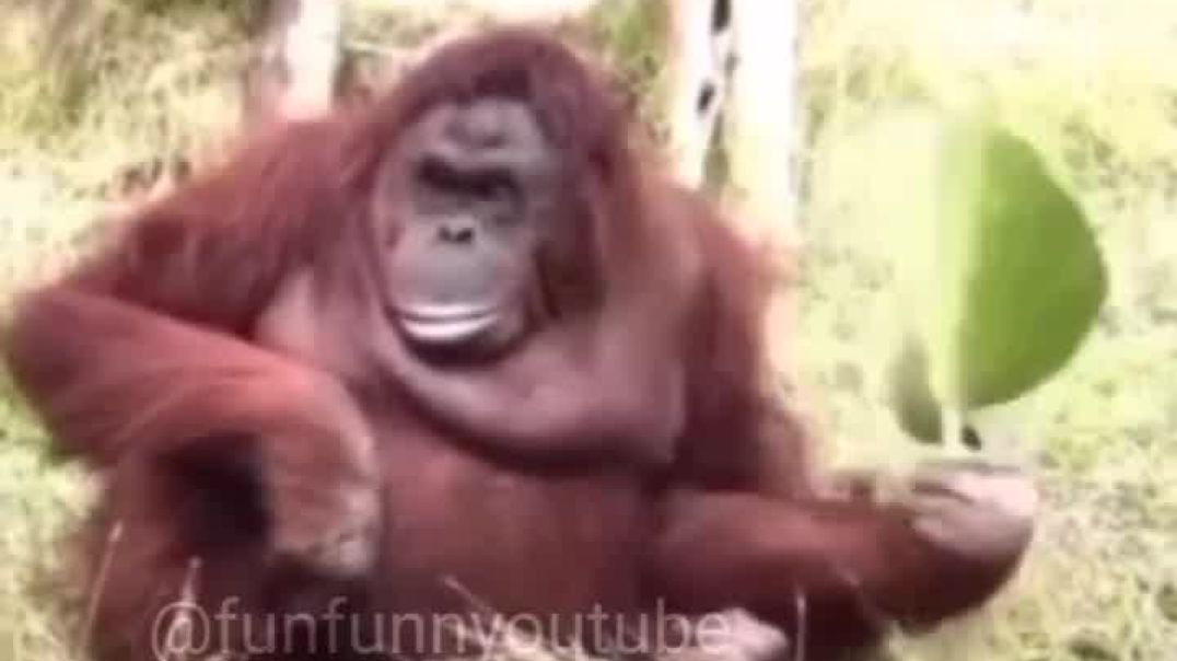 ⁣गर्मी_से_परेशान🤣🤣#funfunnyoutube_#funny_#voiceover_#instagramreels__