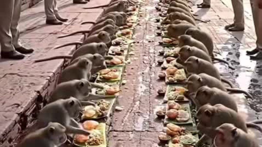 ⁣VID-20250817-WA0009