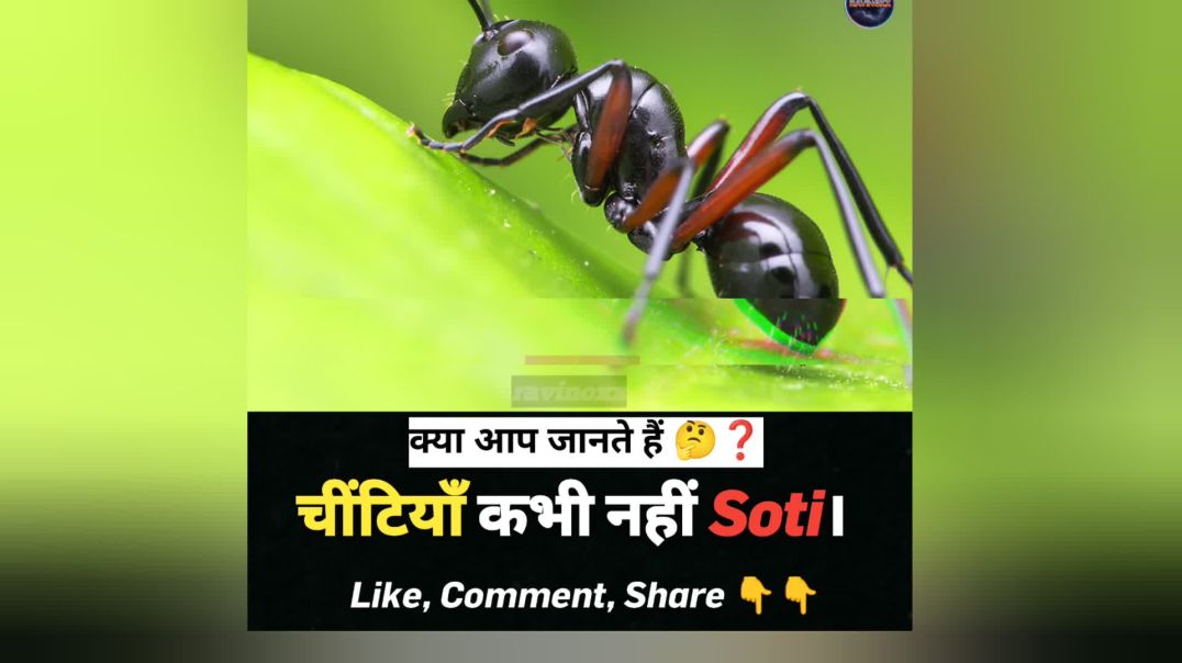 ⁣Amazing facts 🤯🤯😨😨