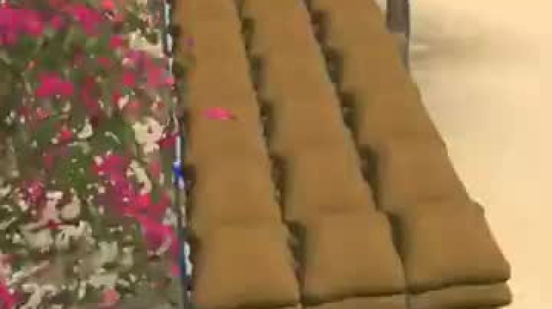 ⁣डराईबर_की_जीनदकि_#indiantractor3d_#gaming