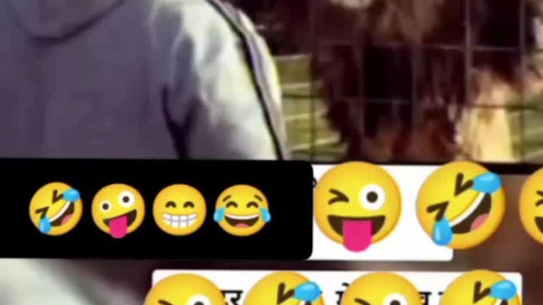 VID_20251120_034049_323