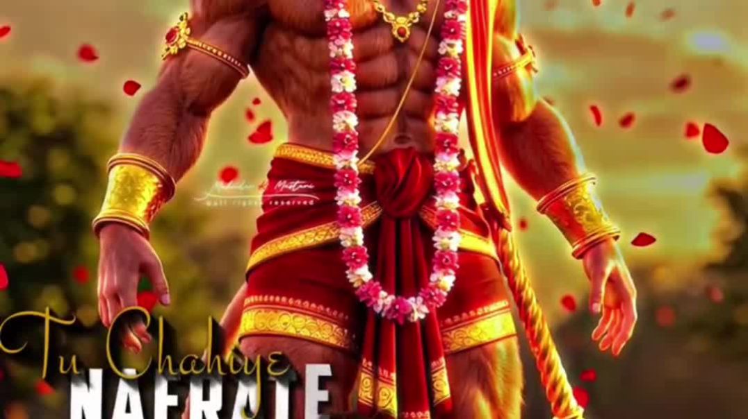 VID_20251208_053849_694