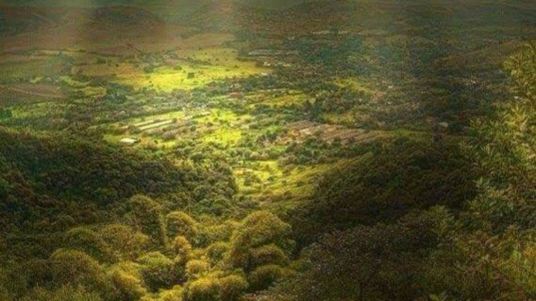 ⁣Good Morning Friends