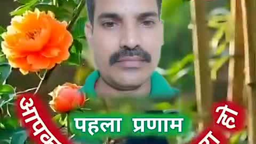 ⁣सुबह की ताज़गी भरी वीडियो! 🌅 गुड मॉर्निंग"