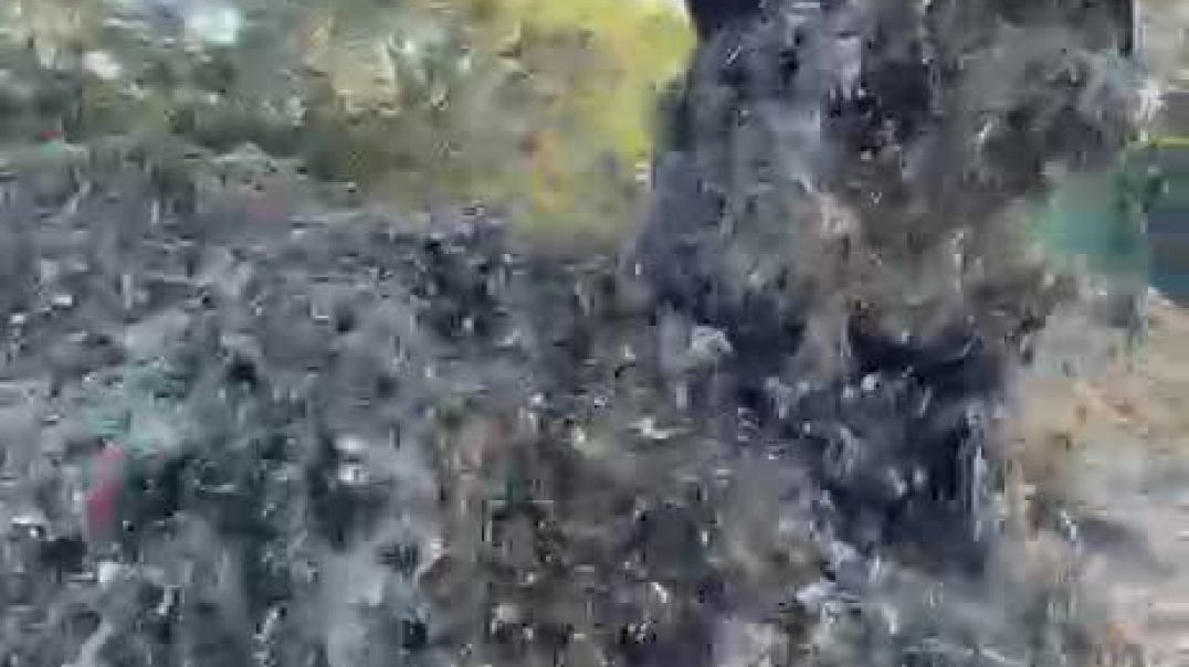 ⁣VID-20251208-WA0014