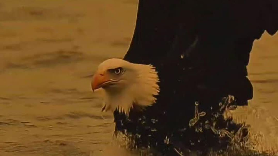 VID_20251214_215320_760