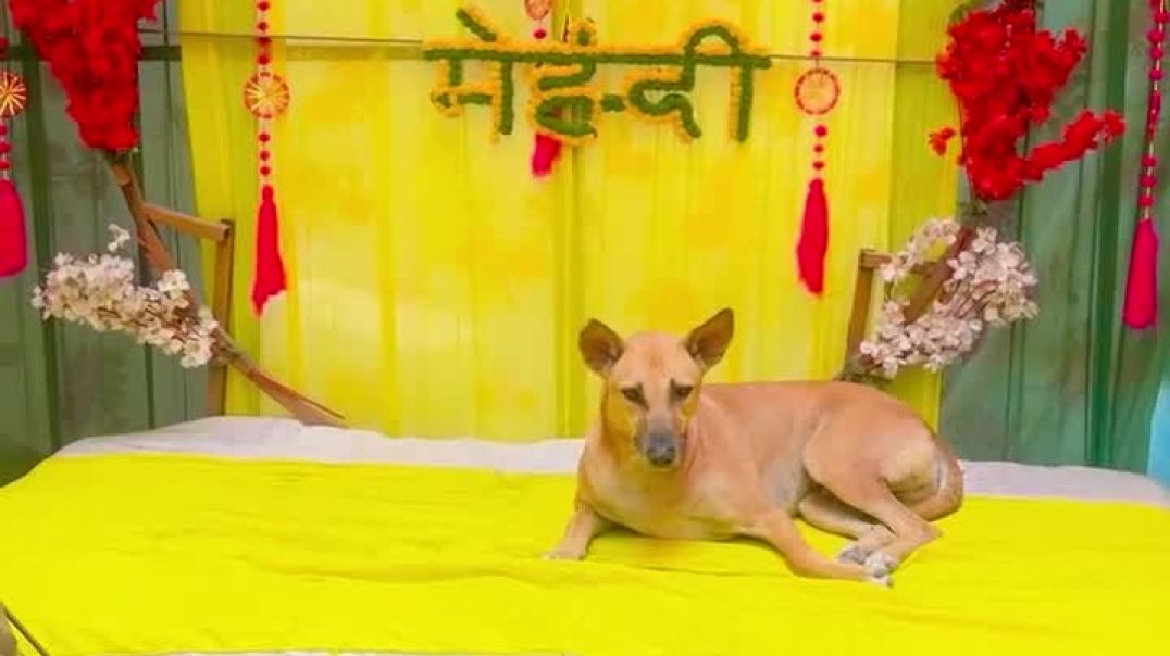 instagram_1765462619949