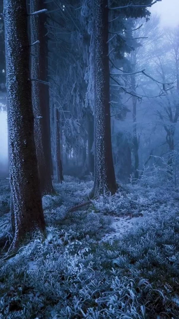 Nature also view snow 🌨️ #shorts