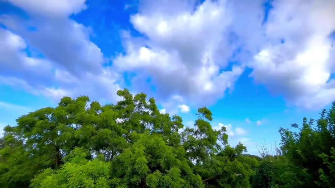 ⁣1M COMPLETE 👍✅ nature lover